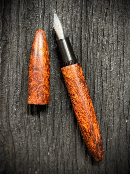 Amboina Burl Chronicle C-17