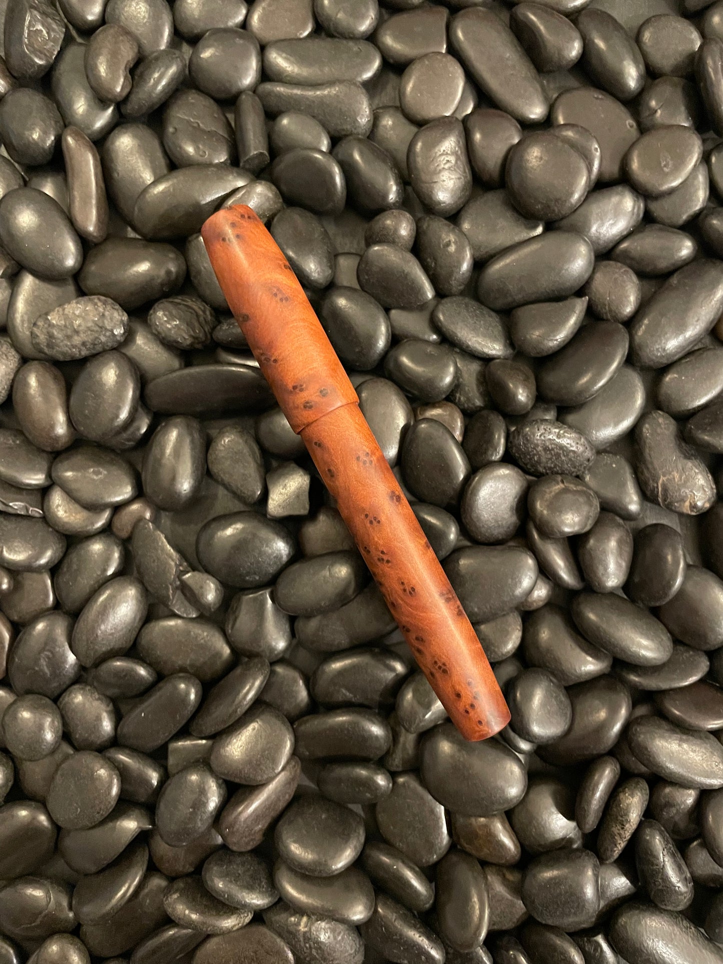 Thuya Burl L-16