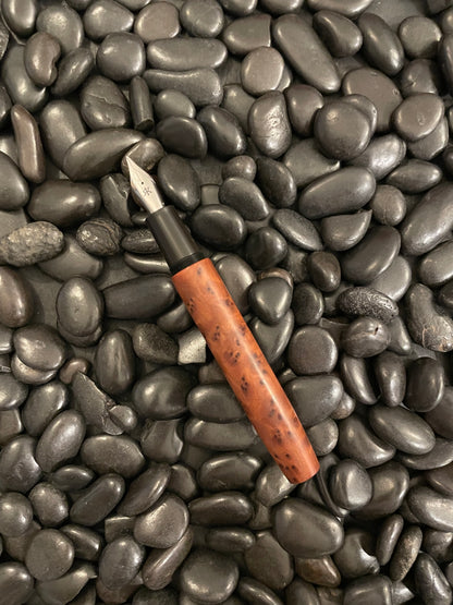Thuya Burl L-16