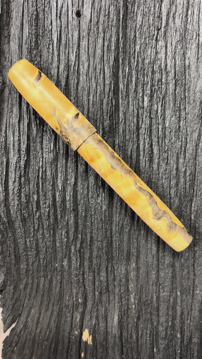 Buckeye Burl Legend L-16